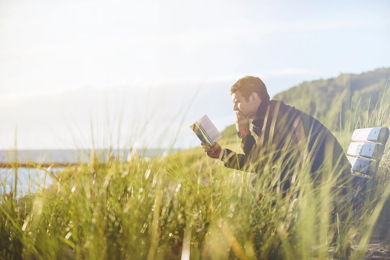 man, bench, grass