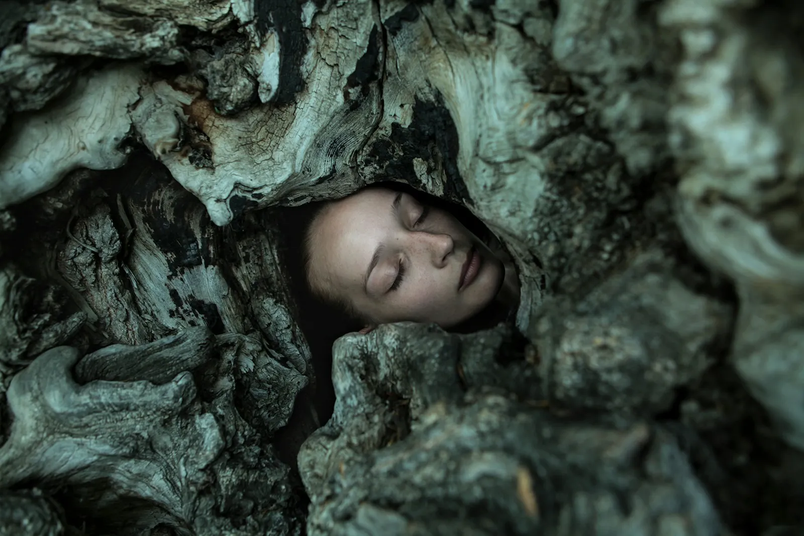 A person is hiding in a tree trunk