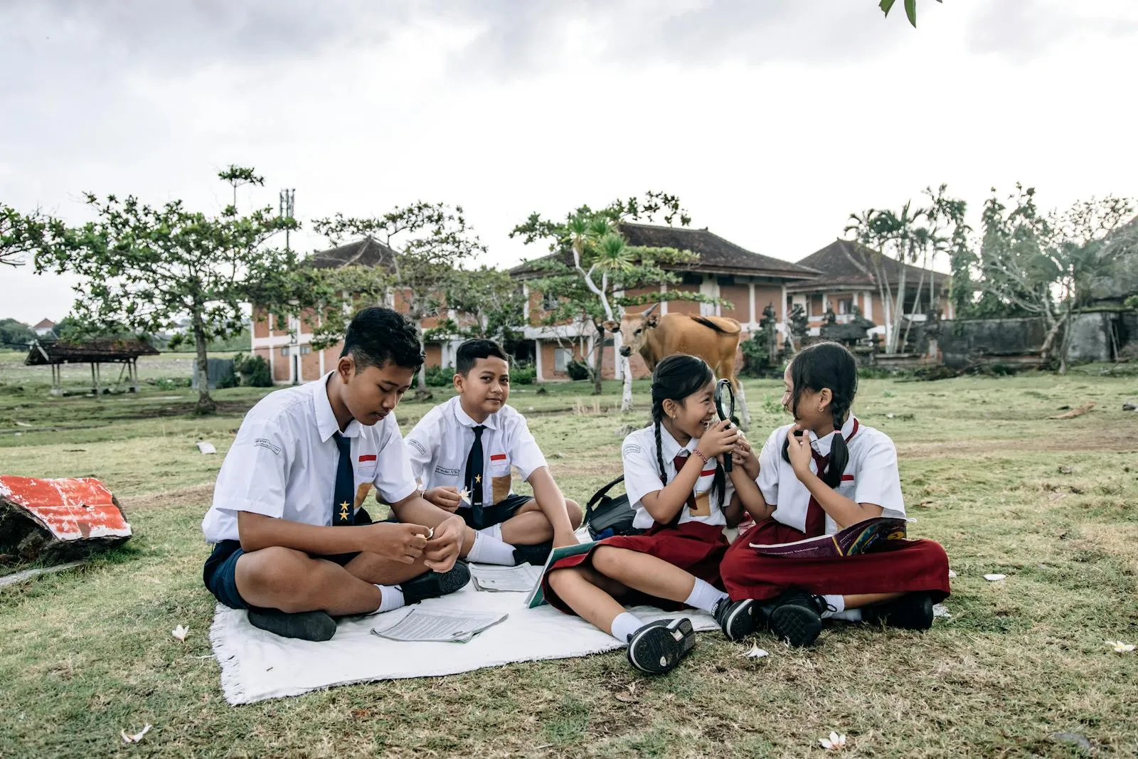 Four students in uniforms study together outside in a grassy field, embracing education and nature.