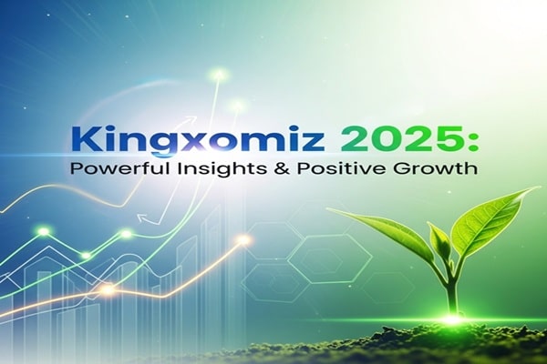 Kingxomiz 2025: Powerful Insights & Positive Growth