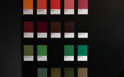 Aplikasi Vidio Vs. Vision+, Soal Film Lebih Lengkap yang Mana?