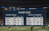 Bengals vs Chicago Bears Match Player Stats
