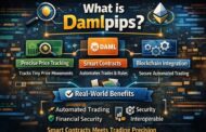 What Is Damlpips? Features, Use Cases, and Real Benefits