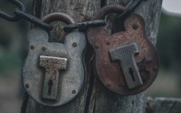 5 Encrypted Messaging Apps Like Signal With End-To-End Encryption And 100% Privacy Focus