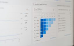 What to Expect From Monthly SEO Management