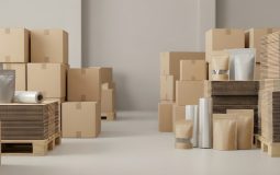 Auto Shipping Solutions Designed for Safe Vehicle Delivery