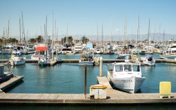 6 Marina Management Apps Like Dockwa That Simplify Boat Slip Reservations