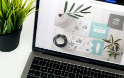 Top Screen Sharing Tools for Mac Over Thunderbolt 3 and 4 (2026)