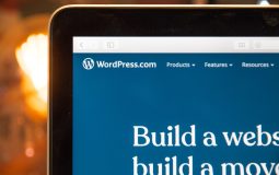 WordPress Support for Multiple Business Sites: WordPress Multisite vs Separate Installs for Managing Websites