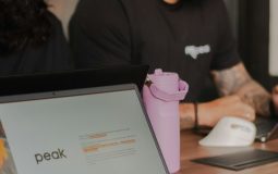 FSFS Explained: Meaning, Uses, and Related Software
