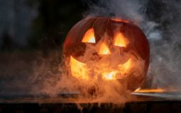 Halloween Newsletter: Mailchimp vs beehiiv for Halloween Newsletter Campaigns