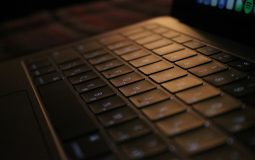Pinebook Pro vs Framework Laptop vs System76 Pangolin: Comparing Linux-Friendly Laptops for Developers